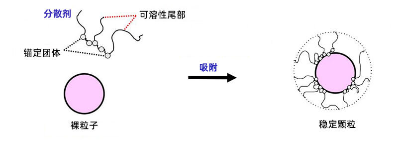 空間位阻分散劑穩定顆粒的示例